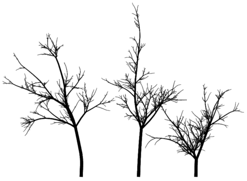 A tree drawn using the software from contextfreeart.org